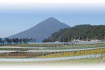 開聞岳(頴娃海岸)