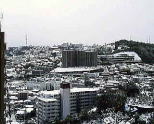 ZnP
