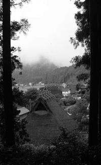 美山