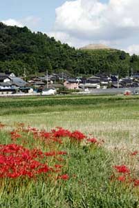 私市円山古墳遠景