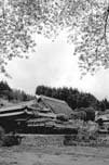 大和棟の民家(奈良市都祁甲岡町)