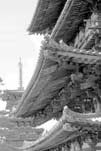 東塔の軒周り