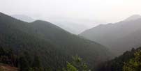 吉野の山々
