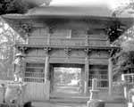 Ō莛