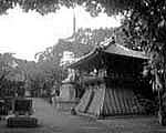 Ō莛
